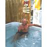 Hot Tubs NY